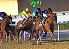 Mind Your Biscuits rolls to victory in the Dubai Golden Shaheen