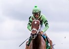 Believe in Bertie won the Red Camelia Stakes in March
