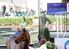 Sale-topping Uncle Mo filly