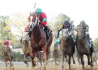 Malagacy, Sonneteer Exit Rebel in Good Order Malagacy, Sonneteer Exit Rebel in Good Order