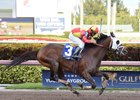 Fear the Cowboy wins the 2017 Skip Away Stakes (G3)