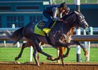 One of Baffert's three challengers, Reach the World works in company at Santa Anita