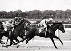 Ruffian: A Photographic Tribute Ruffian: A Photographic Tribute