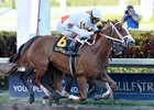 Distinta Flies Late to Win the Inside Information Distinta Flies Late to Win the Inside Information