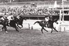 John Henry wins the 1980 Oak Tree Invitational Handicap