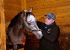 El Areeb is on the comeback trail with trainer Cathal Lynch