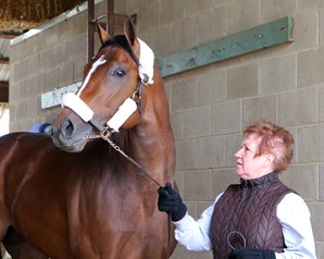 American Anthem Carries Baffert's Rebel Stakes Hopes American Anthem Carries Baffert's Rebel Stakes Hopes