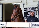 Hip 127, consigned by Crupi's New Castle Farm, topped Day 1 of the OBS March 2-year-olds in training sale