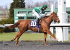 Purely A Dream wins the 2017 Bourbonette Oaks at Turfway Park