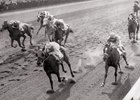 Look Back: Searching Finds Victory in 1956 Top Flight Look Back: Searching Finds Victory in 1956 Top Flight