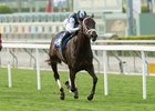 Illuminant takes the March 10 Wishing Well by 1 1/4 lengths over Prize Exhibit