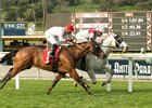 Calculator Back to Winning Form at Santa Anita Calculator Back to Winning Form at Santa Anita