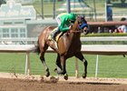 Mastery to Claiborne Farm Upon Retirement Mastery to Claiborne Farm Upon Retirement