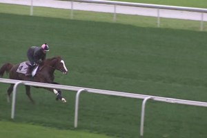 Dubai World Cup: Horses Training, March 21, 2017 Part 3