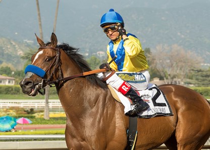 Vale Dori wins the 2017 Santa Margarita Stakes