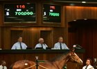 Hip 116, a filly by City Zip, brought $700,000