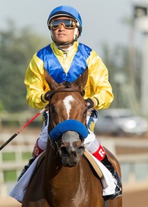 Vale Dori wins the 2017 Santa Margarita Stakes