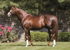 Pedigree Analysis: Spinaway Pedigree Analysis: Spinaway