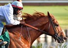 Dortmund Back in Training at Los Alamitos Dortmund Back in Training at Los Alamitos