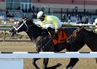 Sunny Ridge Named New Jersey's 2016 Horse of the Year Sunny Ridge Named New Jersey's 2016 Horse of the Year