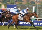 Goldikova is one of 11 Hall of Fame finalists for the 2017 ballot
