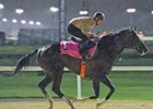Epicharis the morning of March 20 at Meydan Race Course