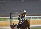 Gun Runner training at Meydan March 20
