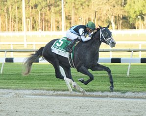 Tapwrit Shows His Class in Tampa Bay Derby Tapwrit Shows His Class in Tampa Bay Derby