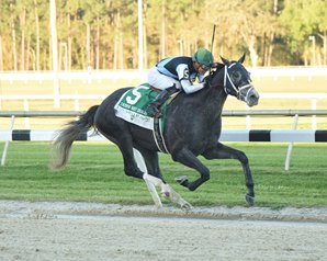 Tapwrit Shows His Class in Tampa Bay Derby