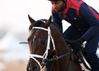 Neolithic hasn't started since his third-place finish in the Dubai World Cup