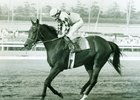 Breeder Mary 'Bay' Schiffer Dies at 102 Breeder Mary 'Bay' Schiffer Dies at 102
