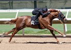 Hip 6, a Lucky Pulpit filly, clocked an eighth-mile in :09 4/5