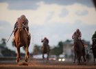 Gunnevera wins the 2017 Fountain of Youth