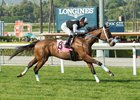 Conquest Farenheit led the whole way in the Pasadena to score by 2 1/4 lengths