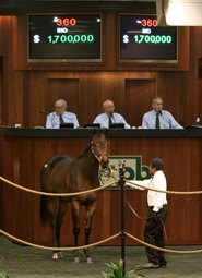 Strong Demand Fuels Record OBS March Sale
