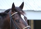 McCraken could end up the Kentucky Derby favorite if he wins the Bluegrass Stakes