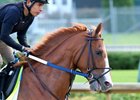 Calumet Farm's Hence at Churchill Downs