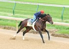 J Boys Echo Breezes Five Furlongs at Churchill J Boys Echo Breezes Five Furlongs at Churchill