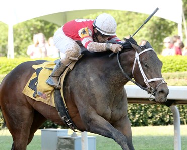 Illussion Artist wins the 2017 Carousel Stakes