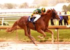 Twisted Tom wins the 2017 Federico Tesio Stakes