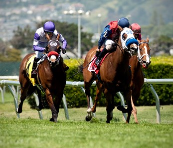 Miss Sunset wins the 2017 Campanile Stakes