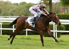 All This Time wins the Prix Mercier-la Vendee at Lion d'Angers