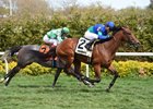 Party Boat wins the Memory of Silver by a length at Aqueduct