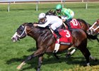 American Patriot Confirmed for Royal Ascot American Patriot Confirmed for Royal Ascot