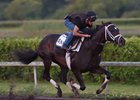 Sharp Horsemen Bred Derby Contender Always Dreaming Sharp Horsemen Bred Derby Contender Always Dreaming
