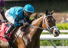 Stormy Liberal wins the 2017 Siren Lure Stakes
