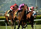 Alert Bay wins the 2017 San Francisco Mile