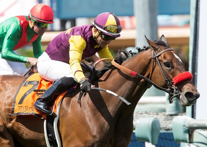 Golden Eagle Farm's Hillhouse High and jockey Corey Nakatani win the Gr. II $200,000 Royal Heroine Stakes Saturday April 8, 2017 at Santa Anita Park, Arcadia CA.