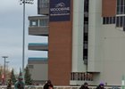 Woodbine