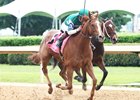 Stellar Wind Sweeps By to Take Apple Blossom Stellar Wind Sweeps By to Take Apple Blossom